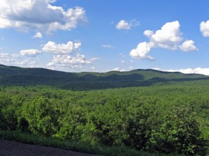 IMG_4099