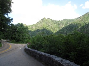 IMG_4102