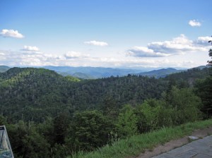 IMG_4112