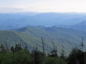 IMG_4119