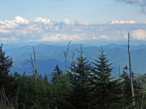 IMG_4121
