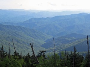 IMG_4122